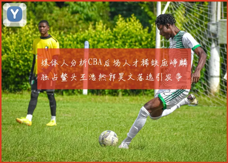 媒体人分析CBA后场人才稀缺庞峥麟独占鳌头王浩然郭昊文落选引发争议
